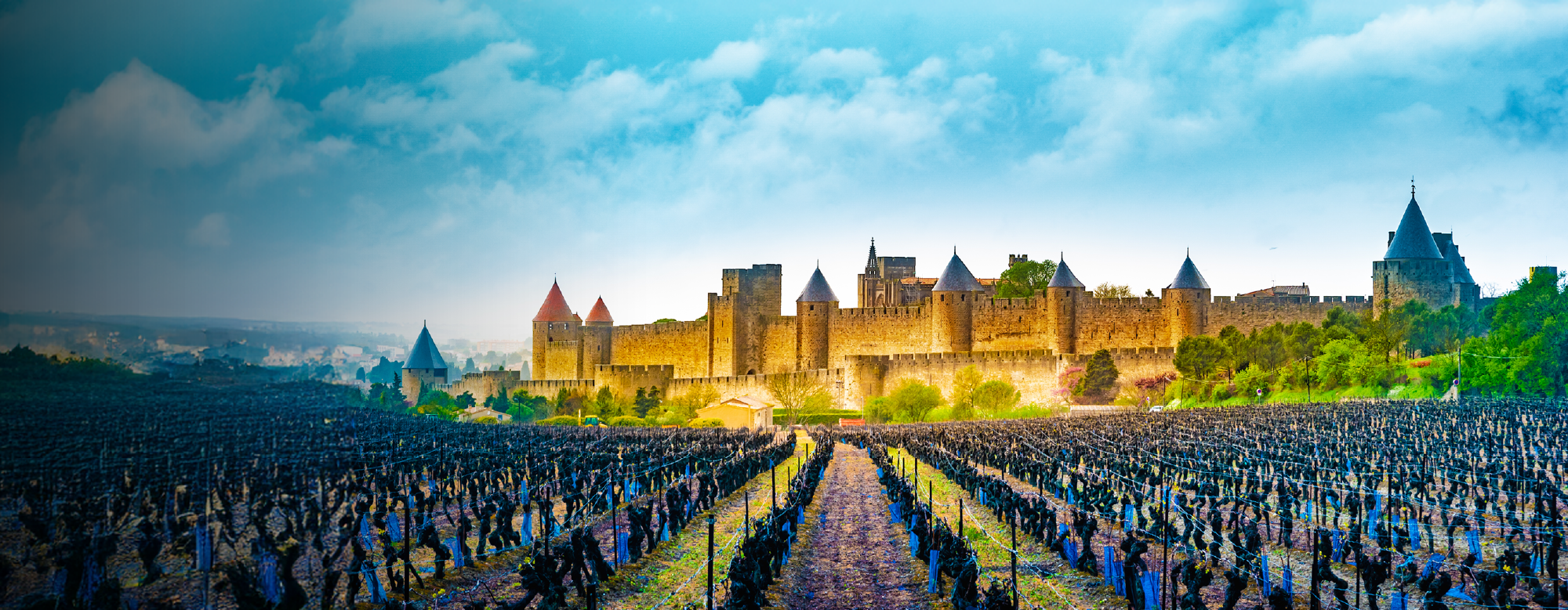 header-Oct-17-2025-06-25-12-2610-PM