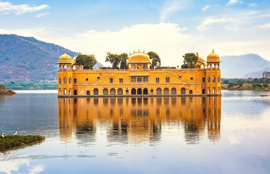 1764916691354shutterstock785882674-cropped