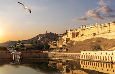 1764917351380shutterstock1691411344-cropped