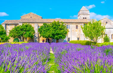DÍA 6-SAINT-REMY-DE-PROVENCE