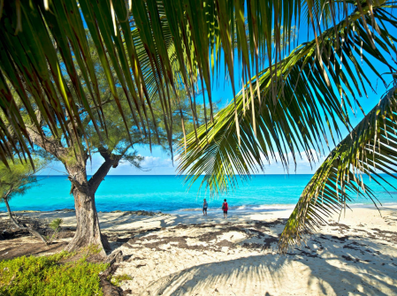 F.-Lauderdale-Roundtrip-Gran-Caimán,-Cozumel-y-Bimini