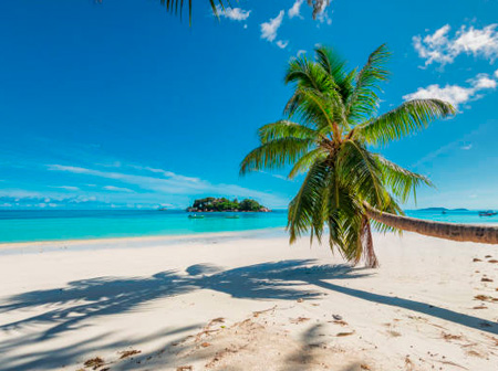 crucero-por-el-caribe