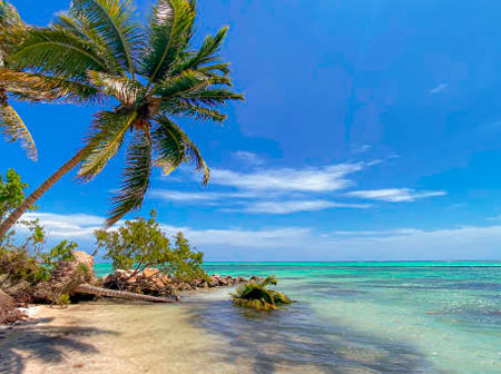 oferta-paquete-turistico-punta-cana-6