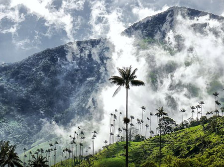 oferta-viaje-eje-cafetero-colombia