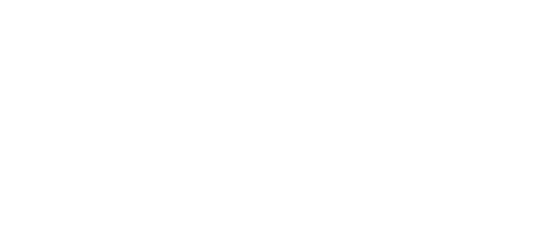 Travel-pass