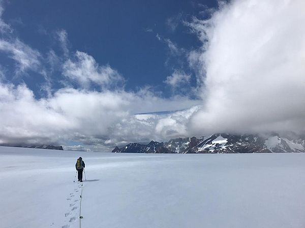 tour-Campo-hielo