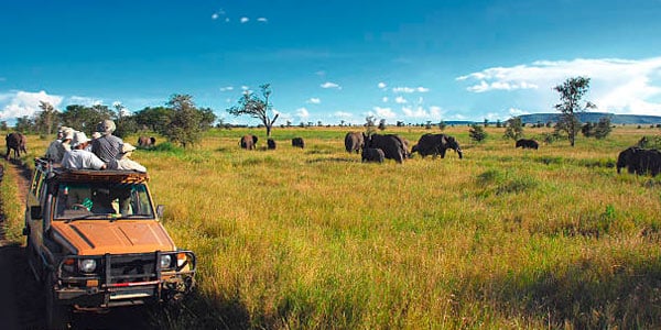 experiencia-Safari-en-Africa