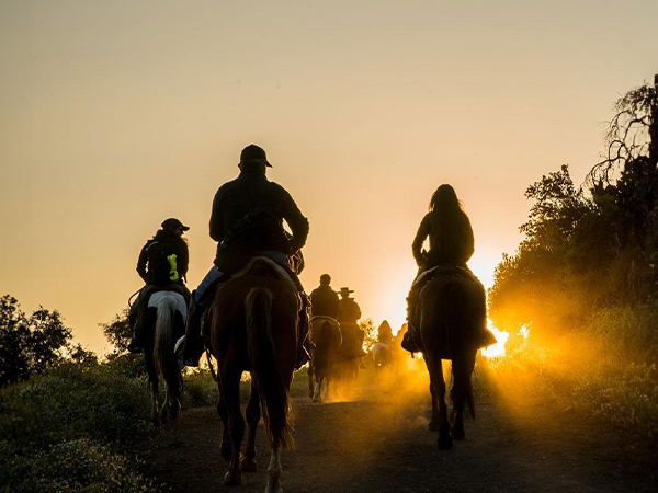 Tawa-Refugio-Experiencia-cabalgata