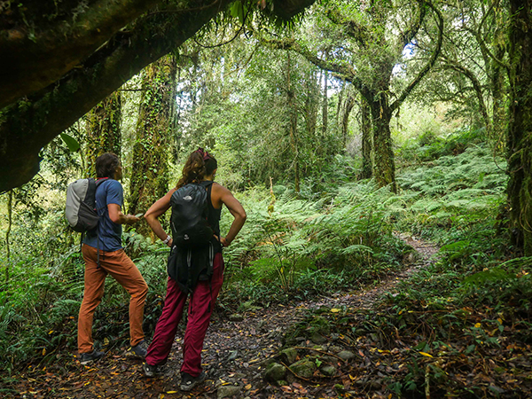 Tawa-Refugio-Experiencias-trekking