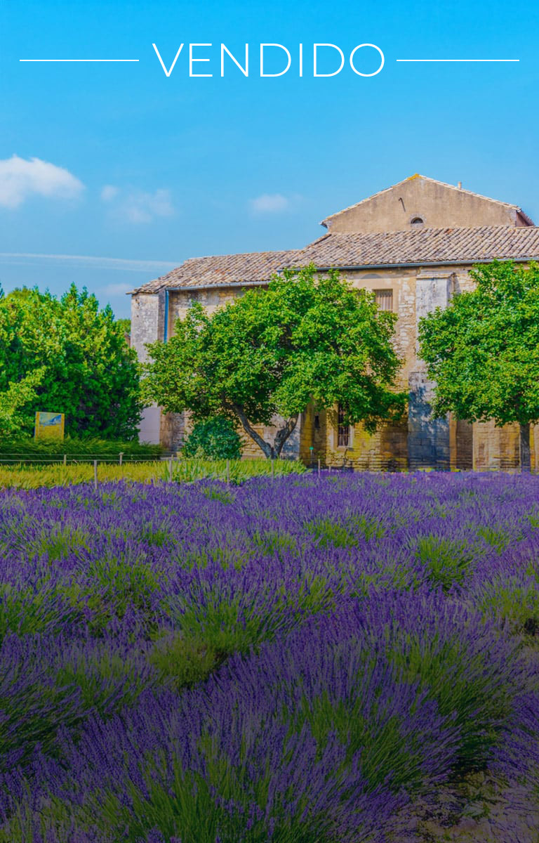 viaje-de-coleccion-francia-vendido