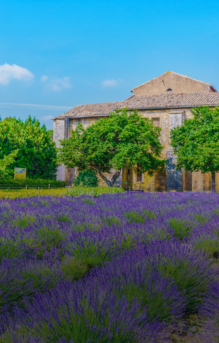 viaje-de-coleccion-francia