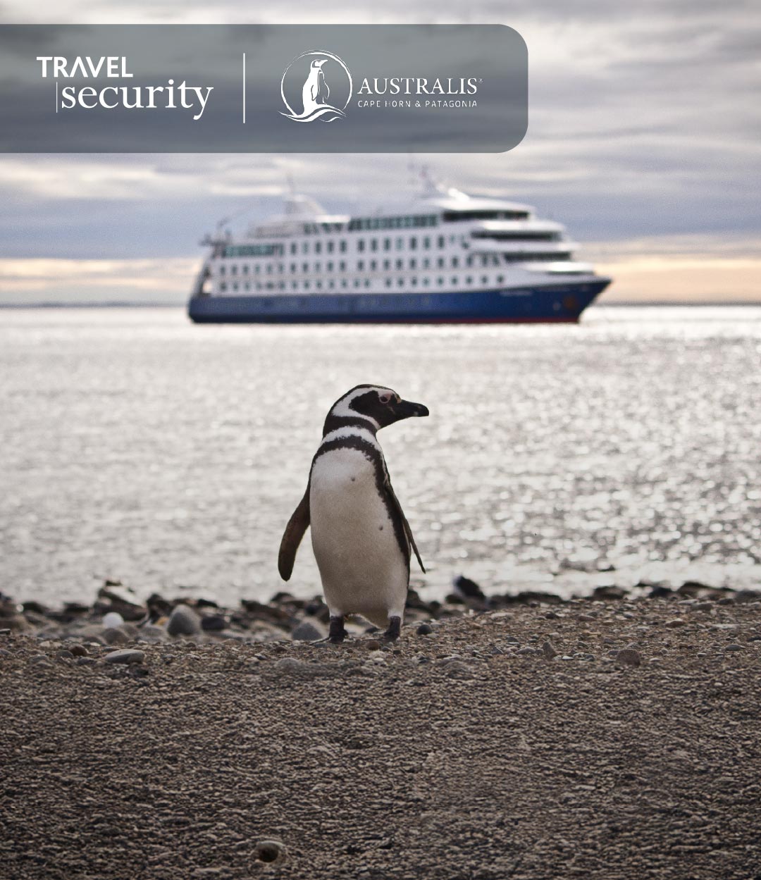 Oferta-Cruceros-asutralis-m