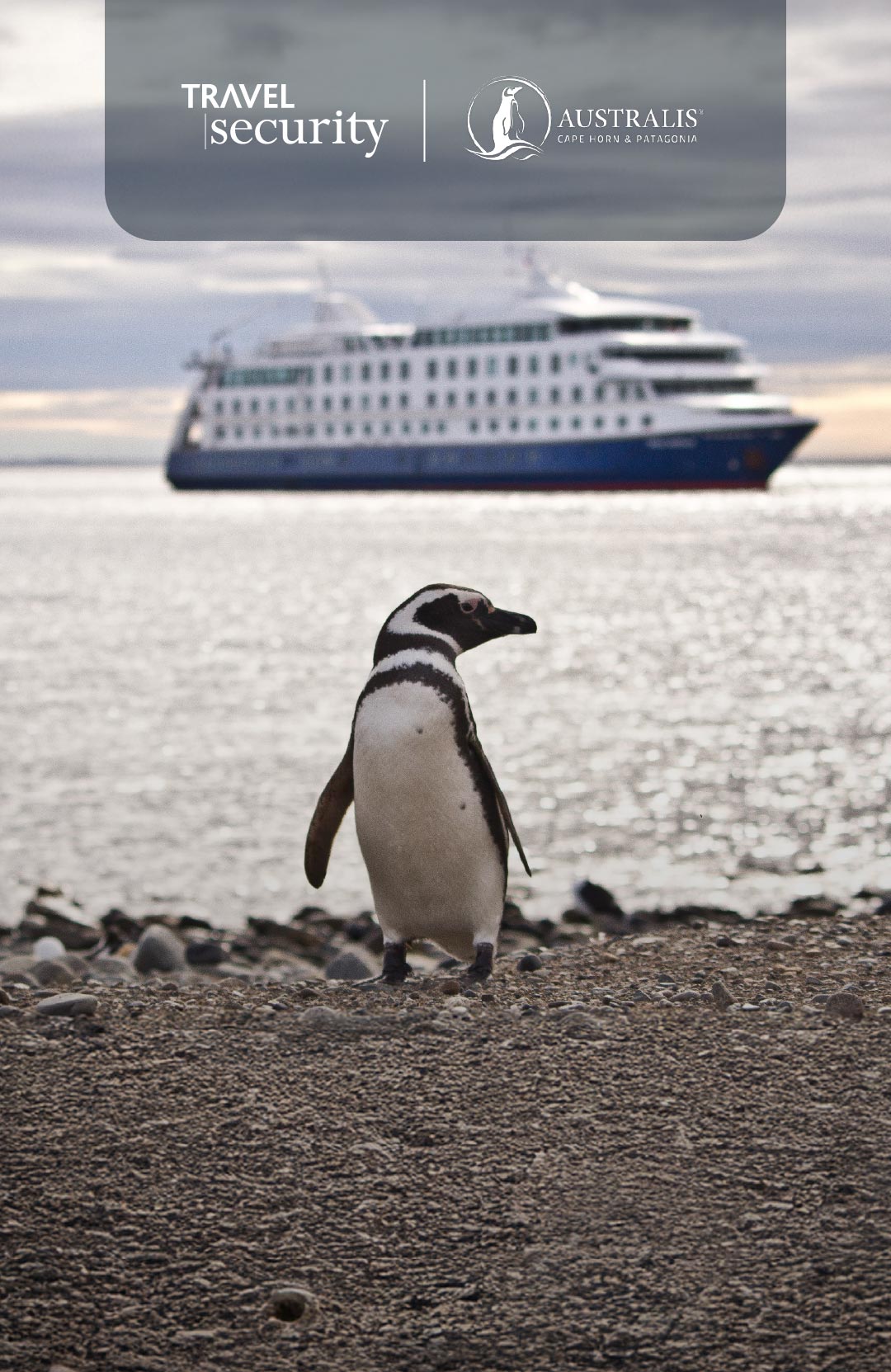 Oferta-Cruceros-asutralis