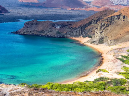 galapagos