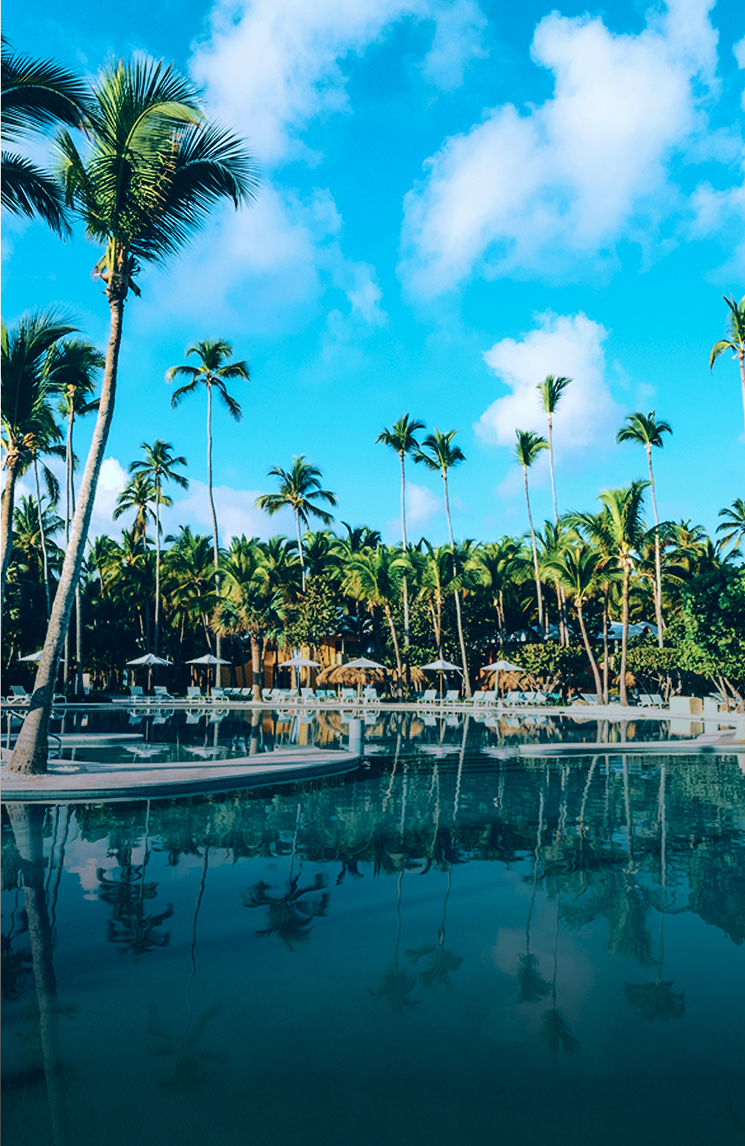 iberostar-escritorio2