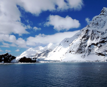 isla-elefanta-antartica