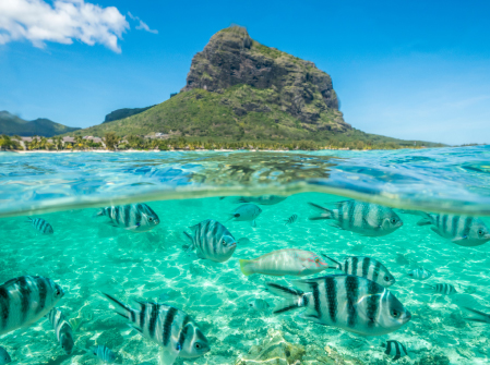 mauritius