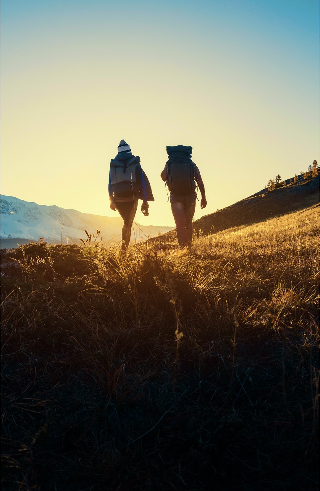 nuevo-reccore-chile-web