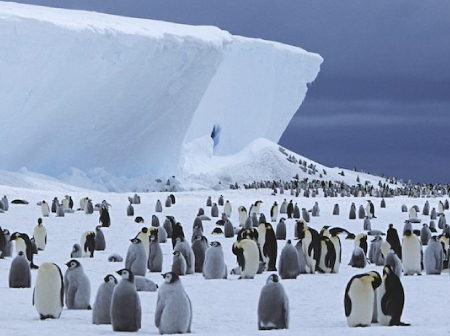 peninsula-antartica-2