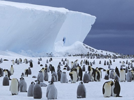 peninsula-antartica-2